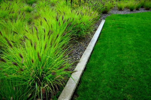 Border Landscaping Install