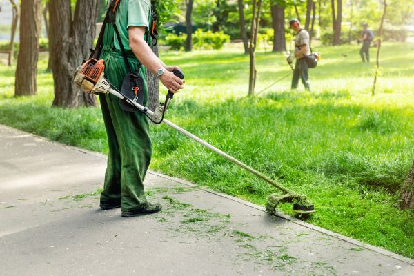 Lawn Edging Installation Service