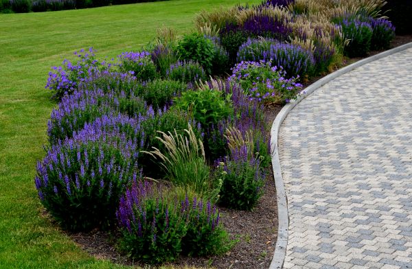 Garden Edging Replacement Service