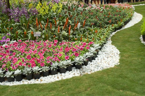 Border Stone Replacement
